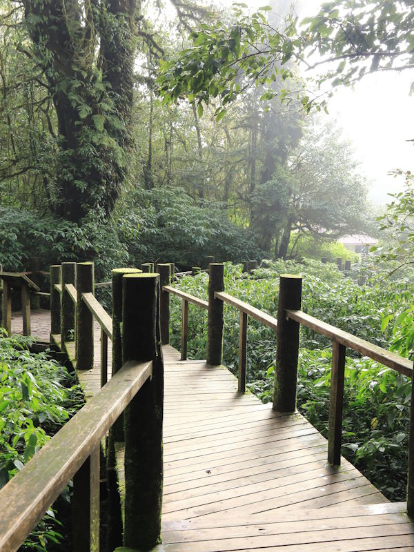 Тур Новые горизонты